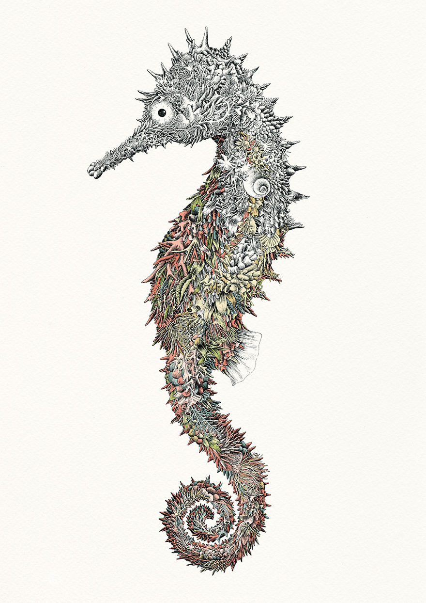 I Draw Illustrations To Support The Conservation Of The Great Barrier Reef (8 Pics) I Draw Illustrations To Support The Conservation Of The Great Barrier Reef (8 Pics)