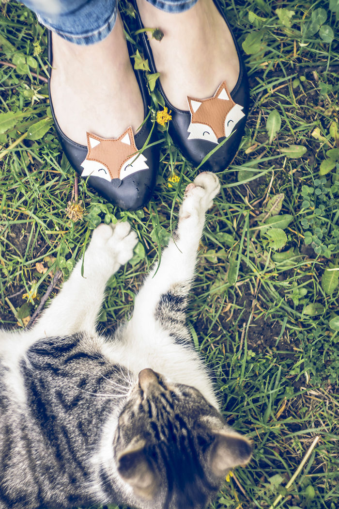 Forever Together! Purrfect Brand For Petlovers ;-)