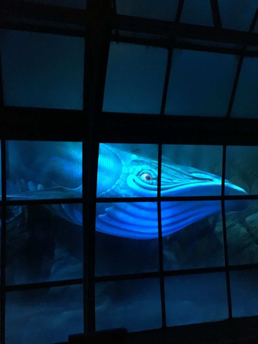 Forget Disney: This Is Why Efteling Is So Much Better!