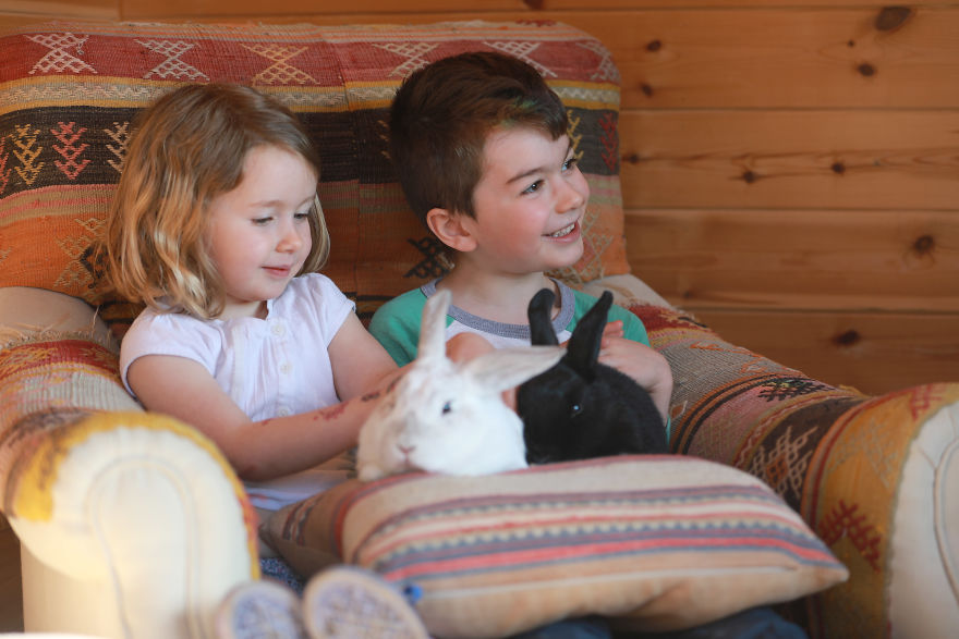 Meet Our Animals Who Help Special Needs Children In Ways That We, Humans, Struggle To Meet Our Animals Who Help Special Needs Children In Ways That We, Humans, Struggle To