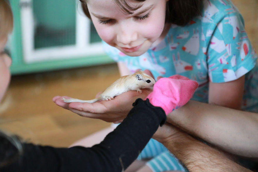 Meet Our Animals Who Help Special Needs Children In Ways That We, Humans, Struggle To