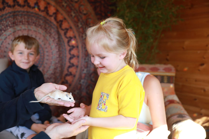 Meet Our Animals Who Help Special Needs Children In Ways That We, Humans, Struggle To Meet Our Animals Who Help Special Needs Children In Ways That We, Humans, Struggle To