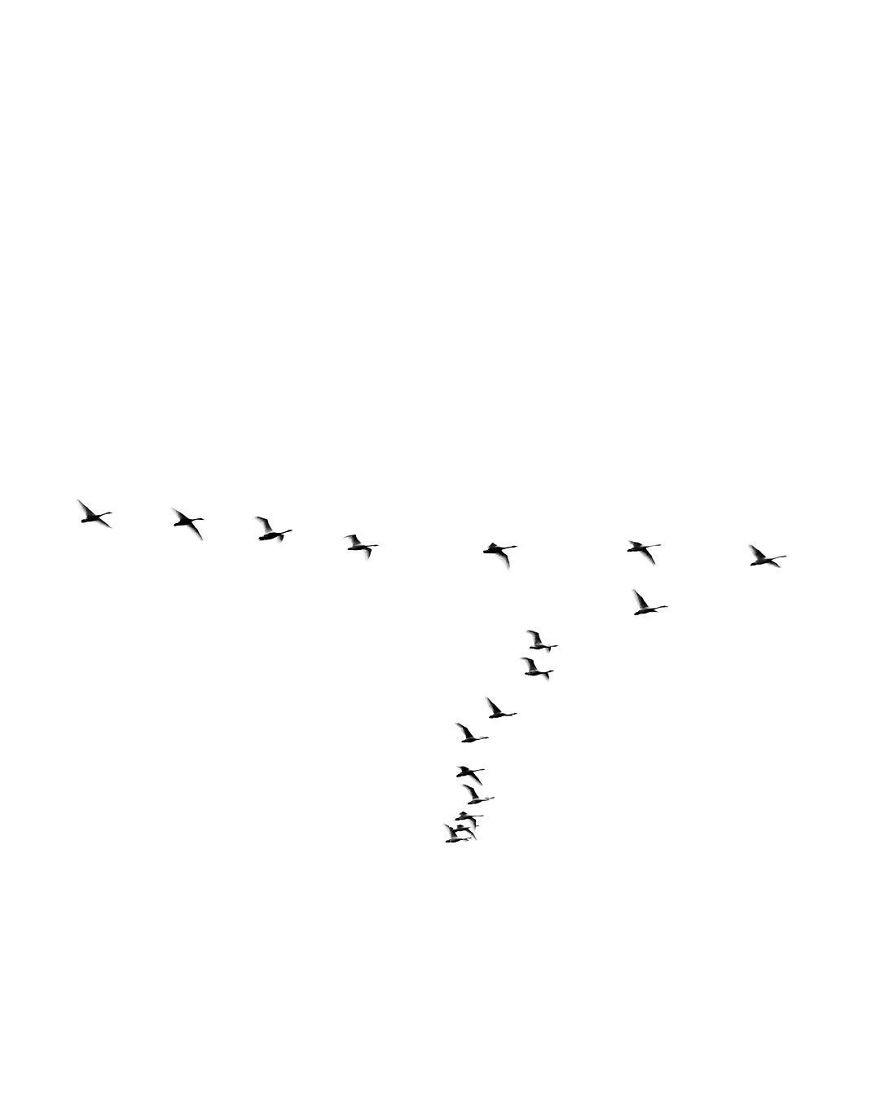 I Quit My Job And Moved To Iceland.