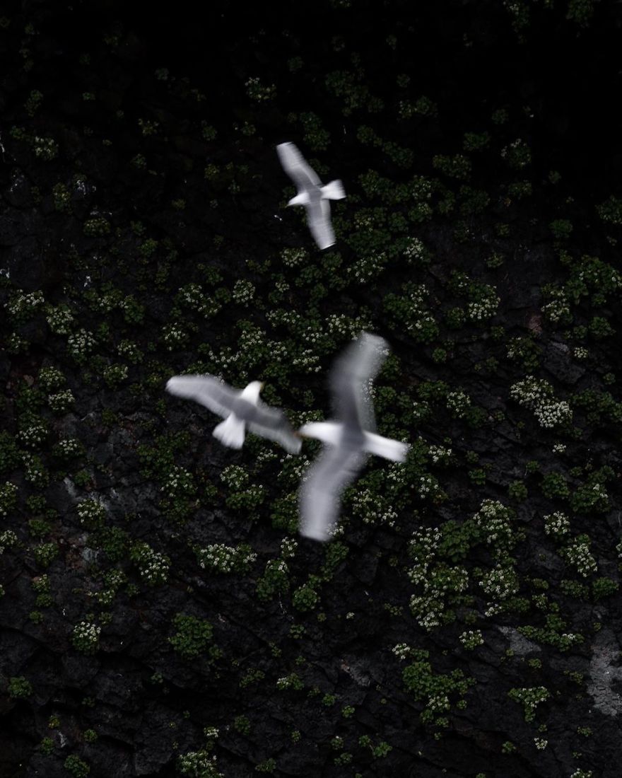 I Quit My Job And Moved To Iceland.