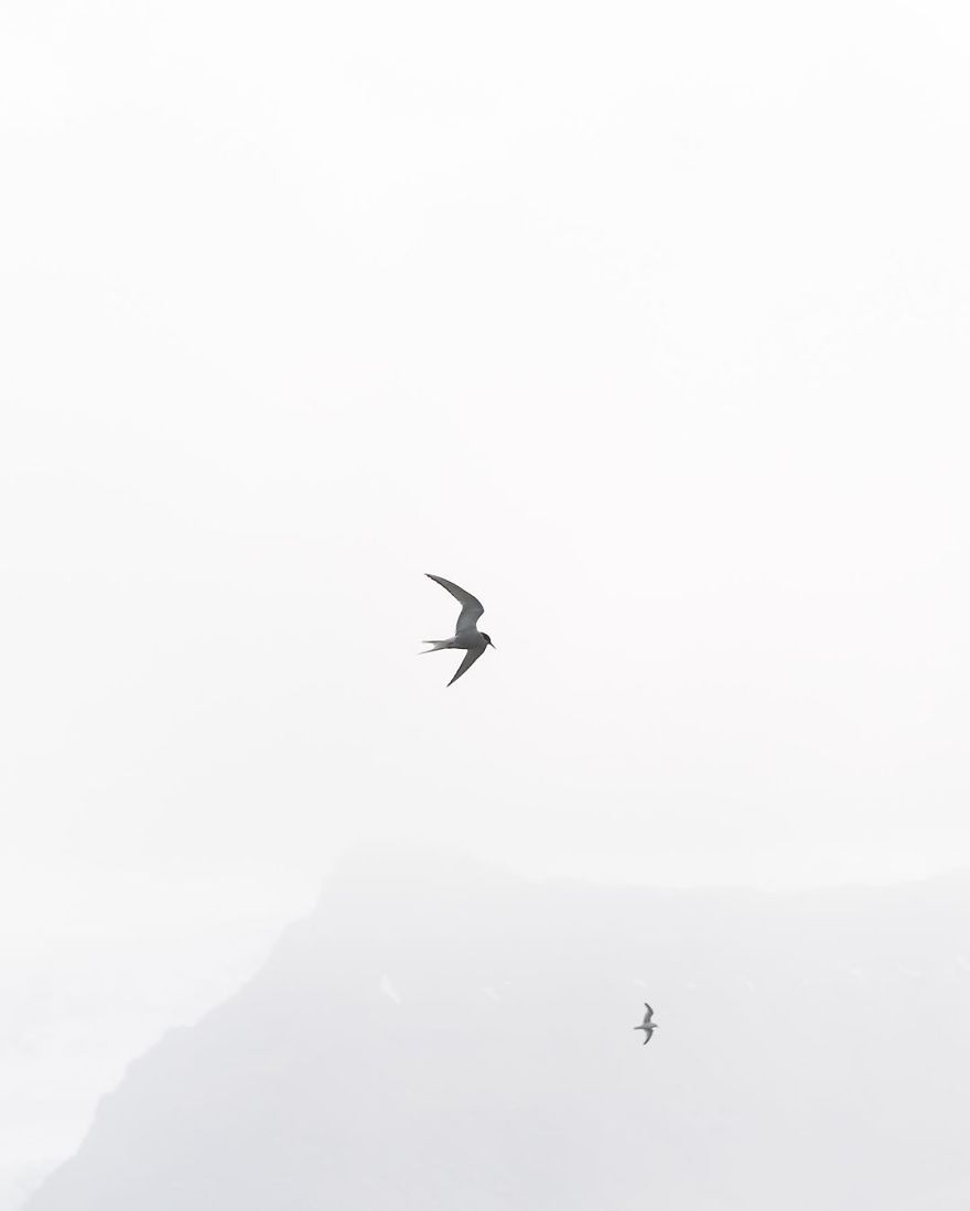 I Quit My Job And Moved To Iceland.