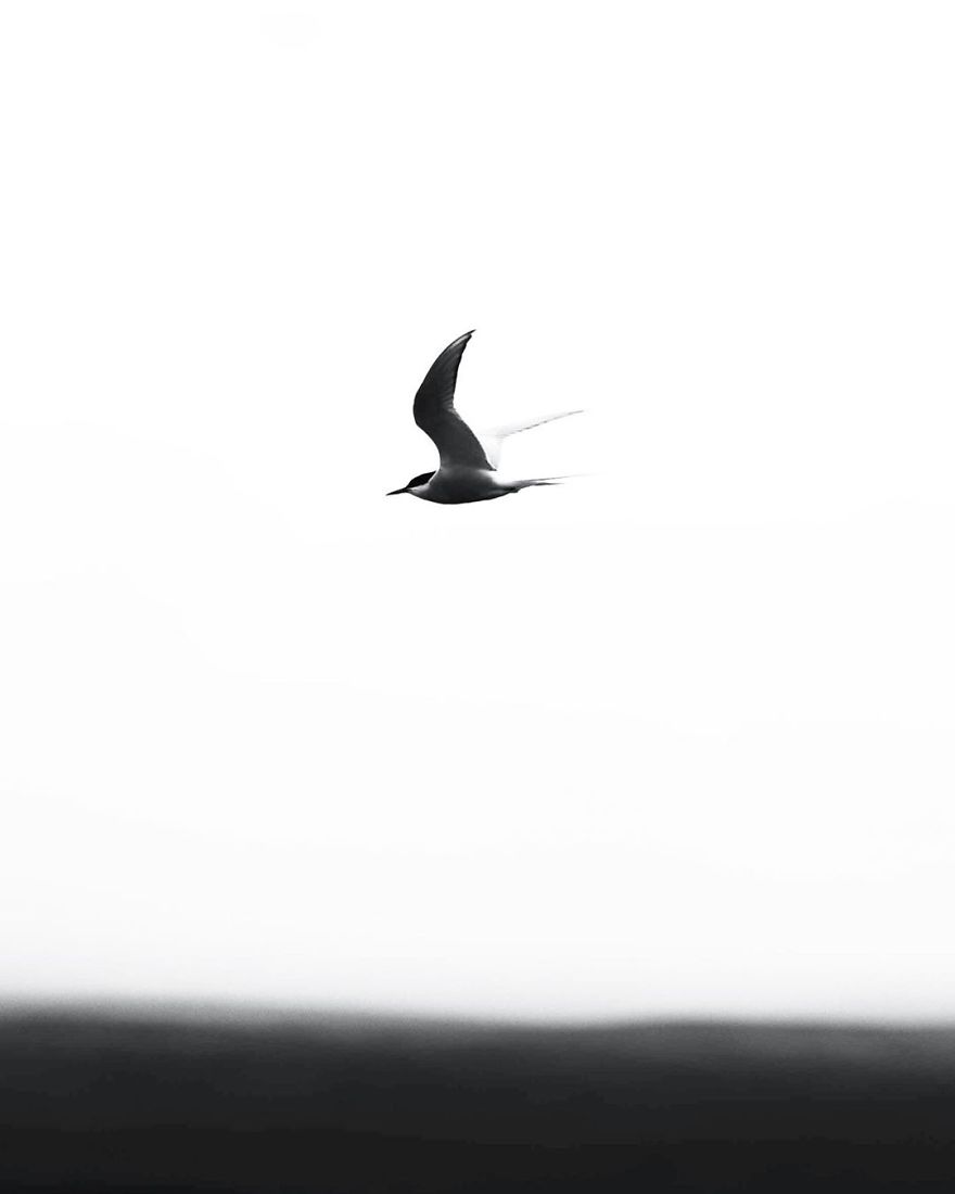 I Quit My Job And Moved To Iceland.