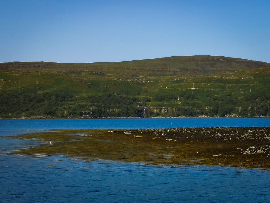 I Traveled To Scotland To See Its Beautiful Nature And Watch Rare Birds (32 Pics) I Traveled To Scotland To See Its Beautiful Nature And Watch Rare Birds (32 Pics)