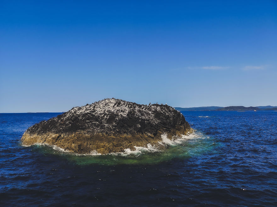 I Traveled To Scotland To See Its Beautiful Nature And Watch Rare Birds (32 Pics)