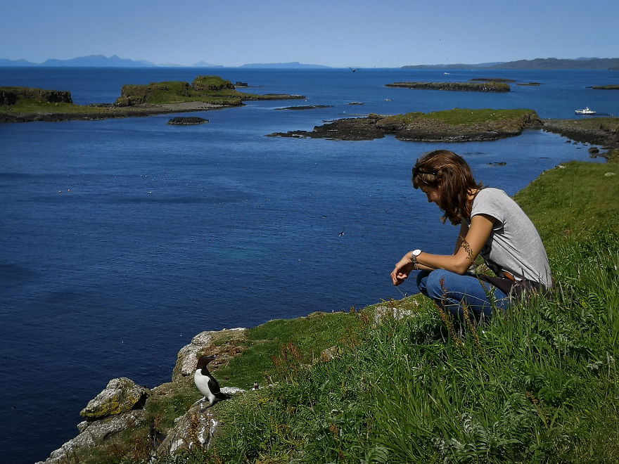 I Traveled To Scotland To See Its Beautiful Nature And Watch Rare Birds (32 Pics)