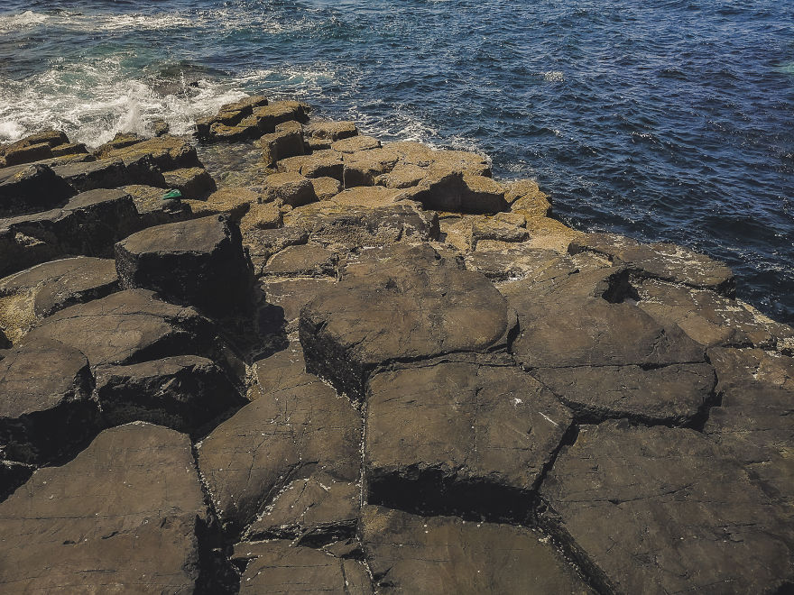 I Traveled To Scotland To See Its Beautiful Nature And Watch Rare Birds (32 Pics)