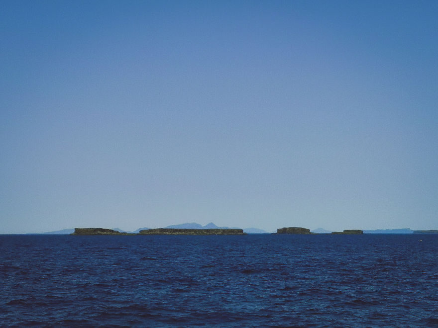 I Traveled To Scotland To See Its Beautiful Nature And Watch Rare Birds (32 Pics)