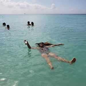 stephaniet1881_1 avatar