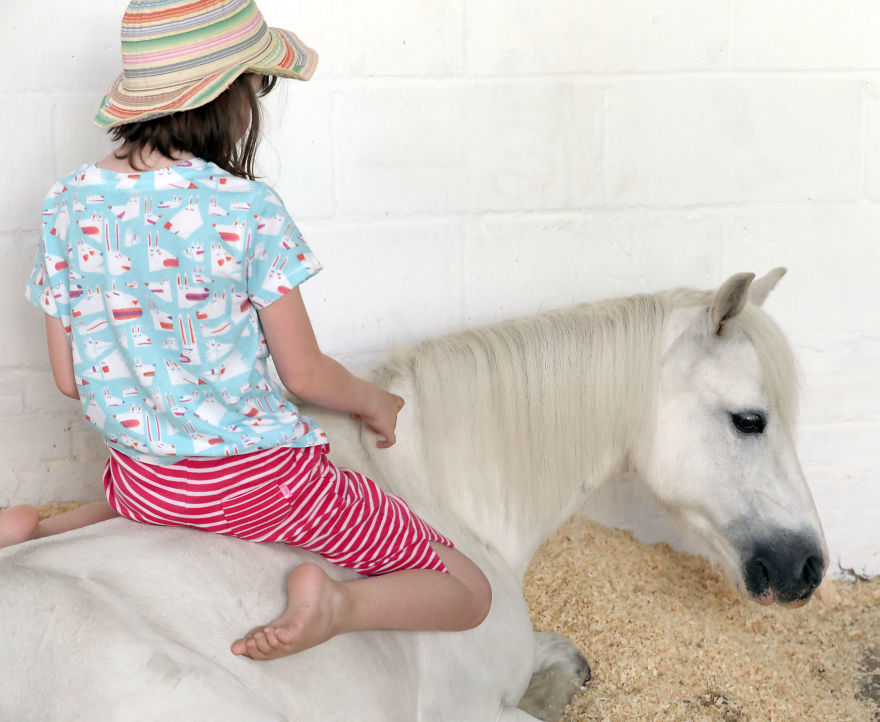 Meet Our Animals Who Help Special Needs Children In Ways That We, Humans, Struggle To Meet Our Animals Who Help Special Needs Children In Ways That We, Humans, Struggle To