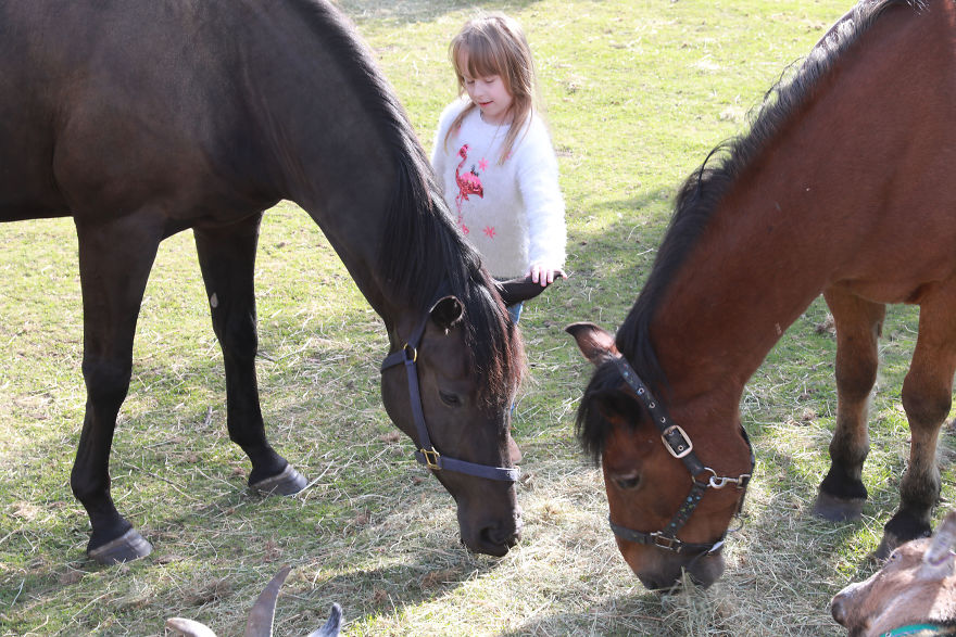 Meet Our Animals Who Help Special Needs Children In Ways That We, Humans, Struggle To Meet Our Animals Who Help Special Needs Children In Ways That We, Humans, Struggle To