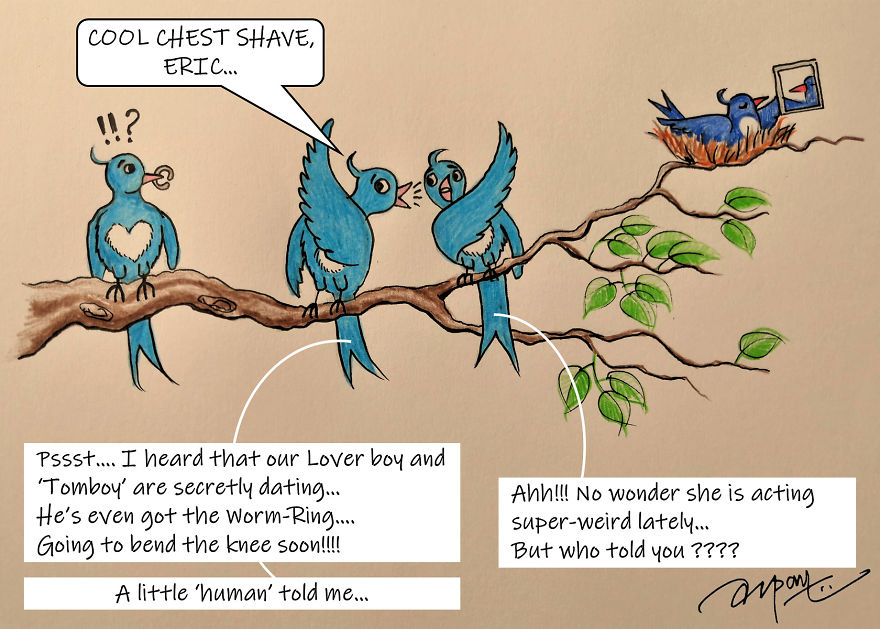 A Little Bird Told Me