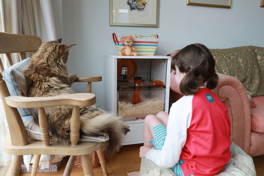 Meet Our Animals Who Help Special Needs Children In Ways That We, Humans, Struggle To Meet Our Animals Who Help Special Needs Children In Ways That We, Humans, Struggle To