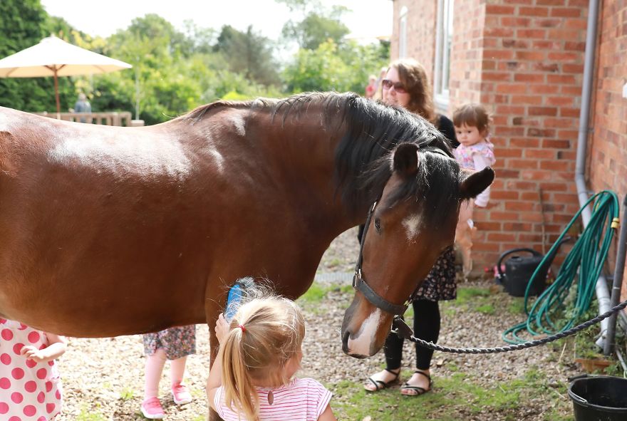 Meet Our Animals Who Help Special Needs Children In Ways That We, Humans, Struggle To Meet Our Animals Who Help Special Needs Children In Ways That We, Humans, Struggle To