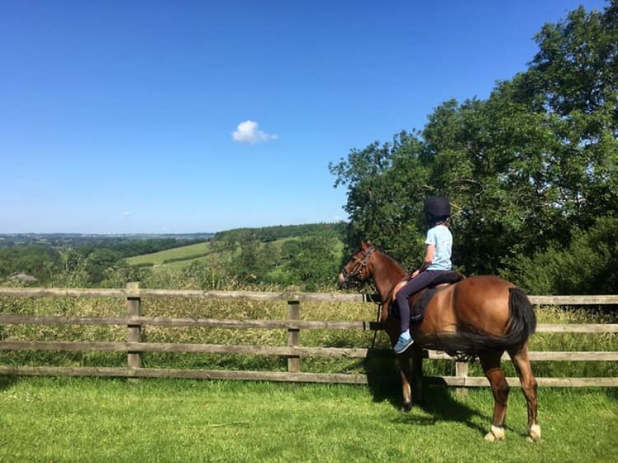 Meet Our Animals Who Help Special Needs Children In Ways That We, Humans, Struggle To Meet Our Animals Who Help Special Needs Children In Ways That We, Humans, Struggle To