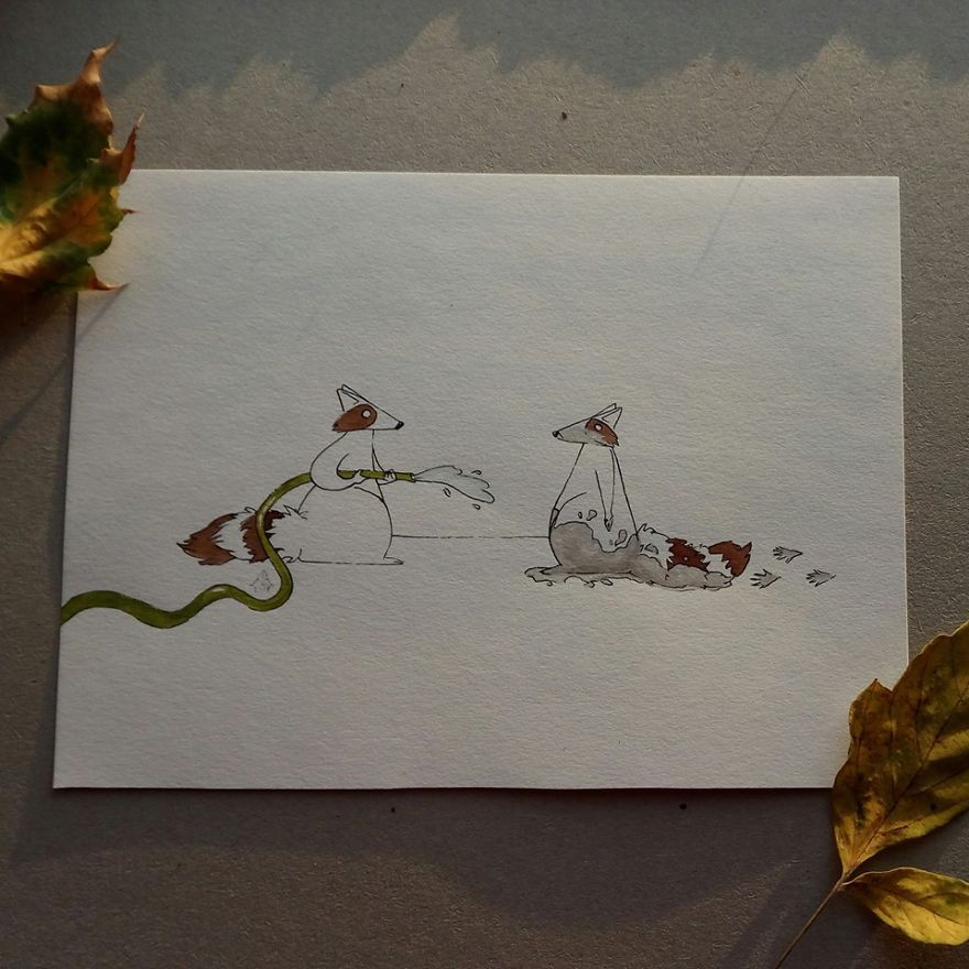 Don't Ask Just Rinse