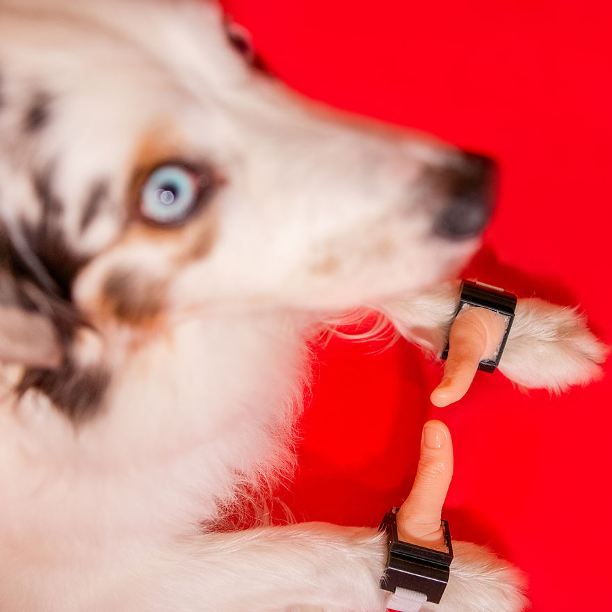 Nobody Asked For These 11 Inventions, But I Created Them Anyway