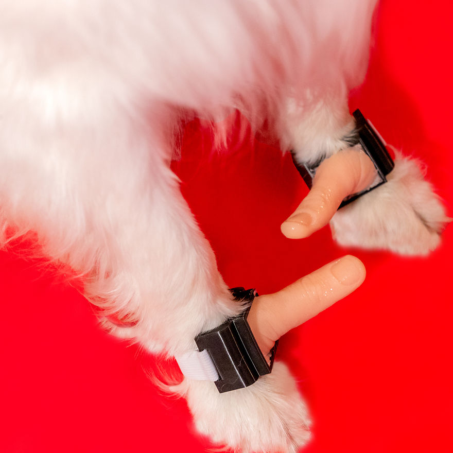 Nobody Asked For These 11 Inventions, But I Created Them Anyway