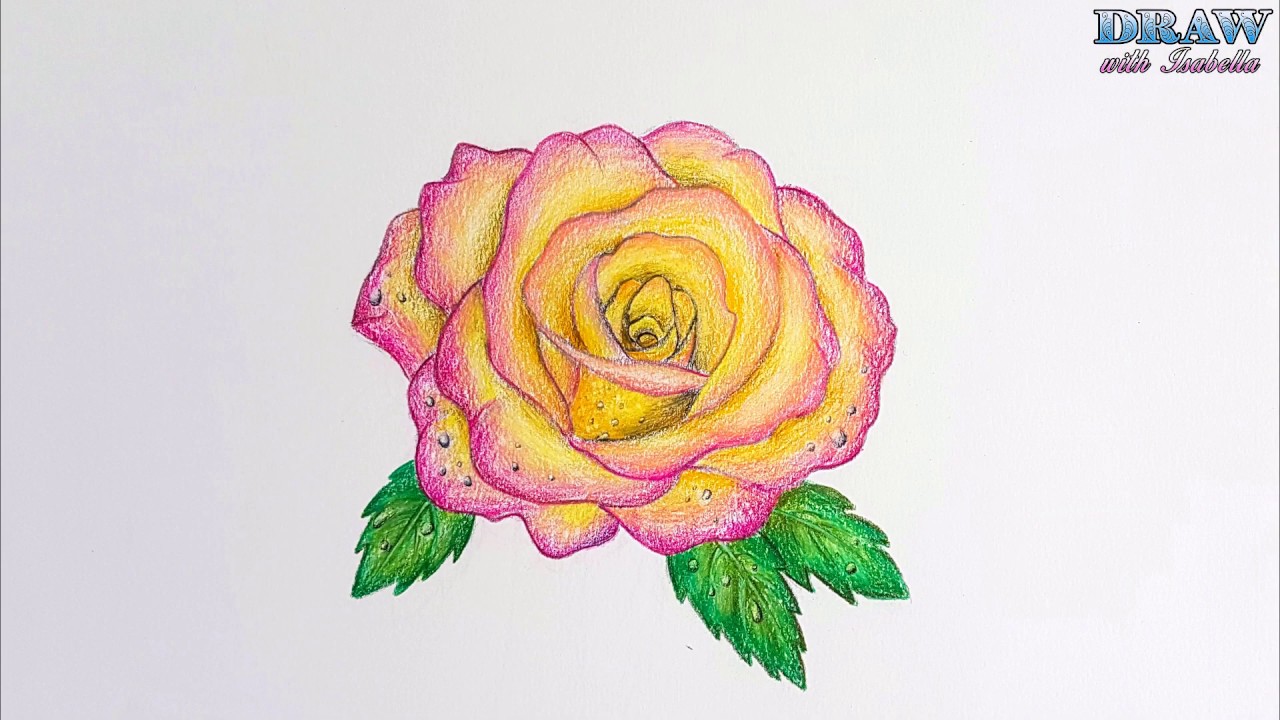 This Rose Drawing That I Made When I Was 10-Year-Old.