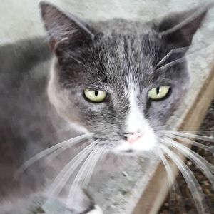 jennifernewton_1 avatar