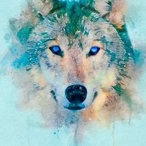 kaybear121906 avatar