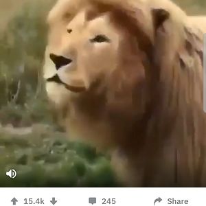 rebeccamerkle avatar