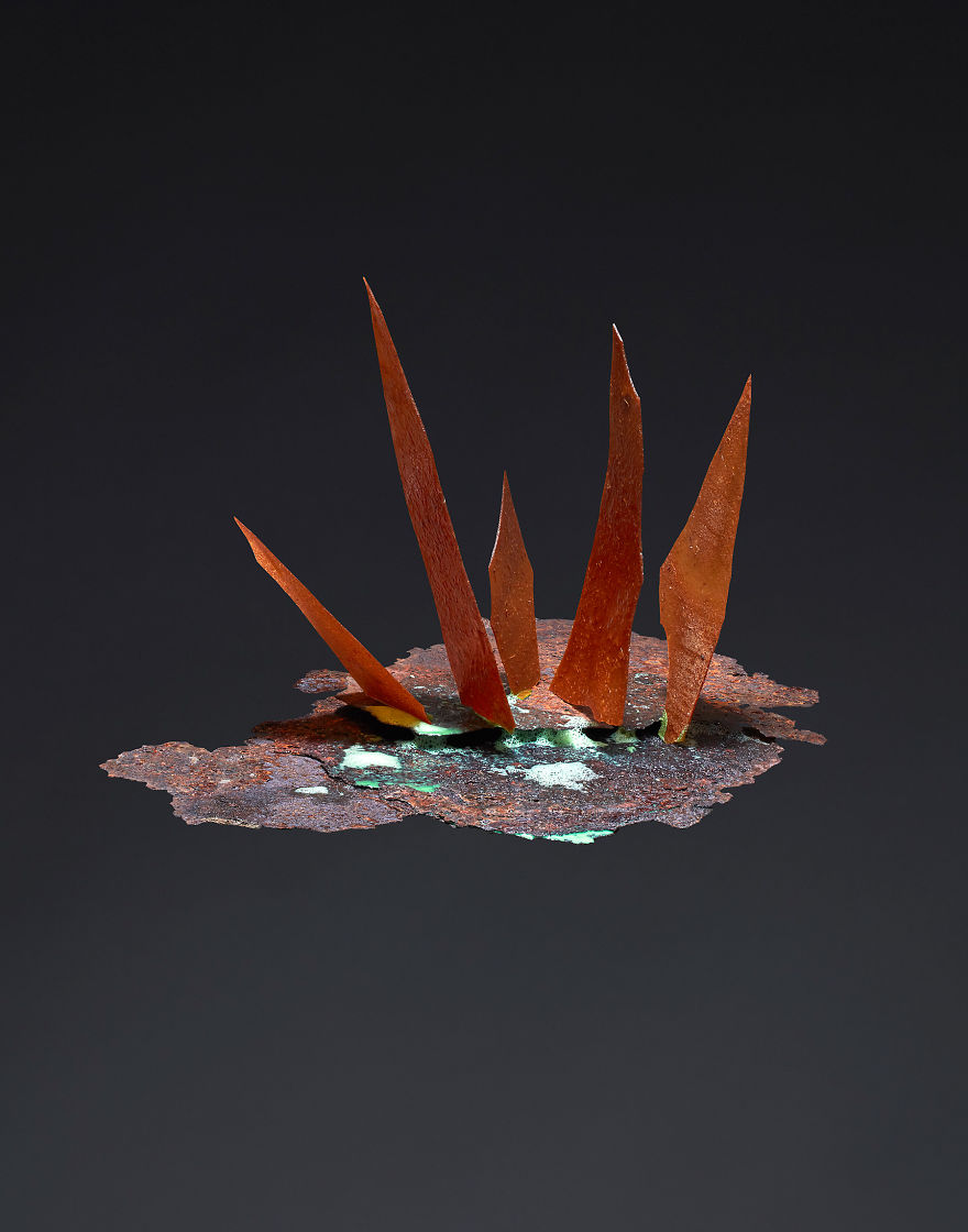 A Visualization Of The Five Primary Taste Sensations A Visualization Of The Five Primary Taste Sensations