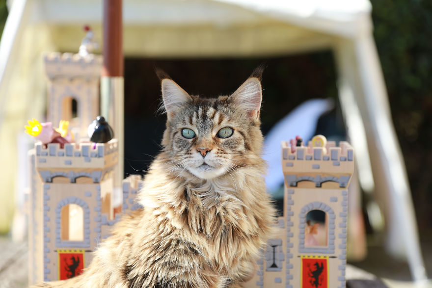 Meet Our Animals Who Help Special Needs Children In Ways That We, Humans, Struggle To