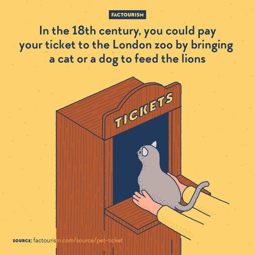 We Love Strange Facts And Decided To Draw Our Favourites. Here Are 30 Of Them.