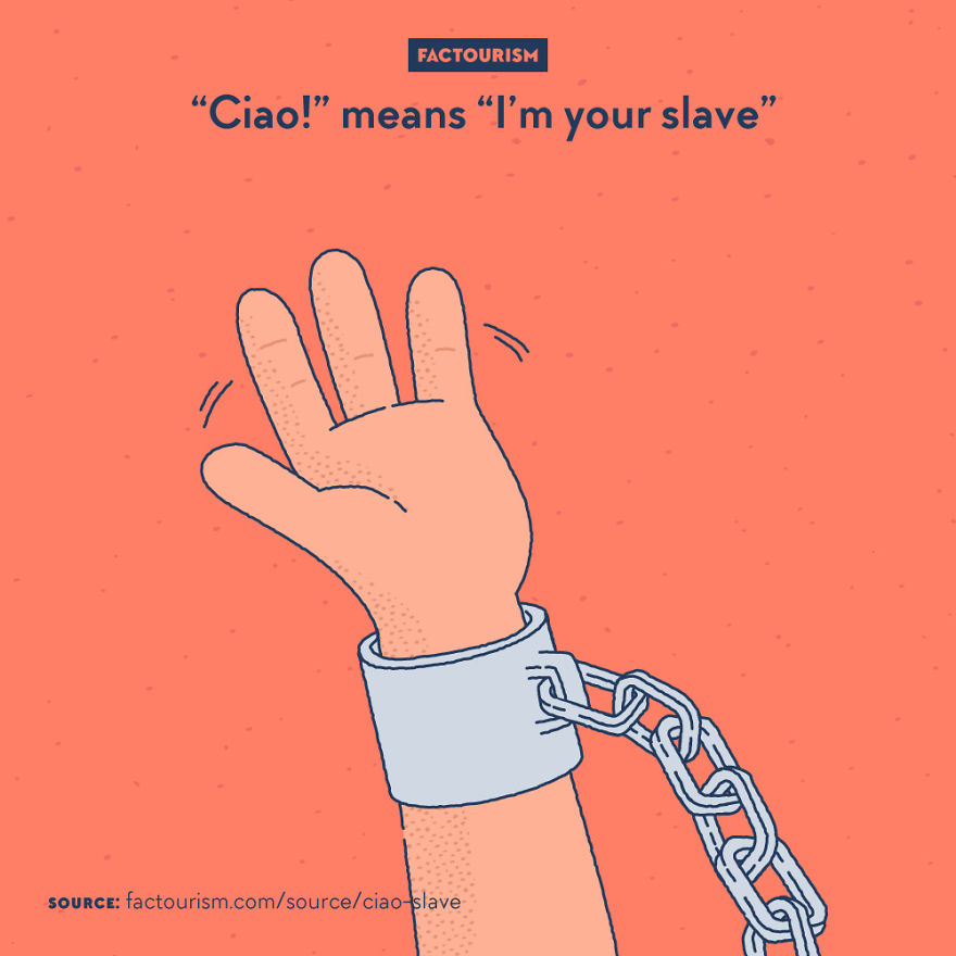 We Love Strange Facts And Decided To Draw Our Favourites. Here Are 30 Of Them.