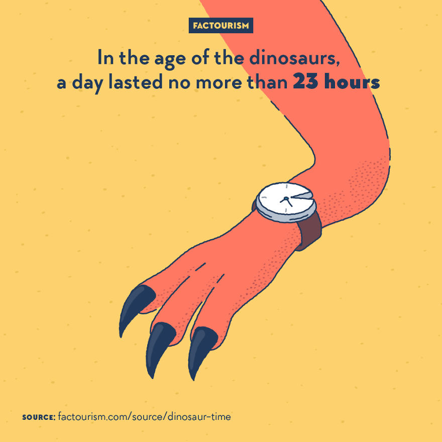 We Love Strange Facts And Decided To Draw Our Favourites. Here Are 30 Of Them.