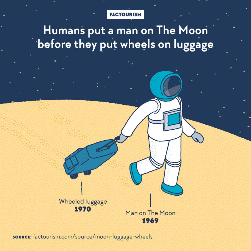 We Love Strange Facts And Decided To Draw Our Favourites. Here Are 30 Of Them.