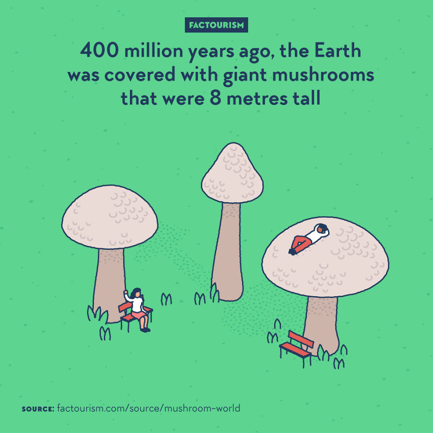 We Love Strange Facts And Decided To Draw Our Favourites. Here Are 30 Of Them.