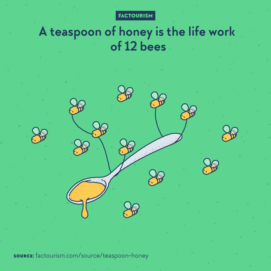 We Love Strange Facts And Decided To Draw Our Favourites. Here Are 30 Of Them.