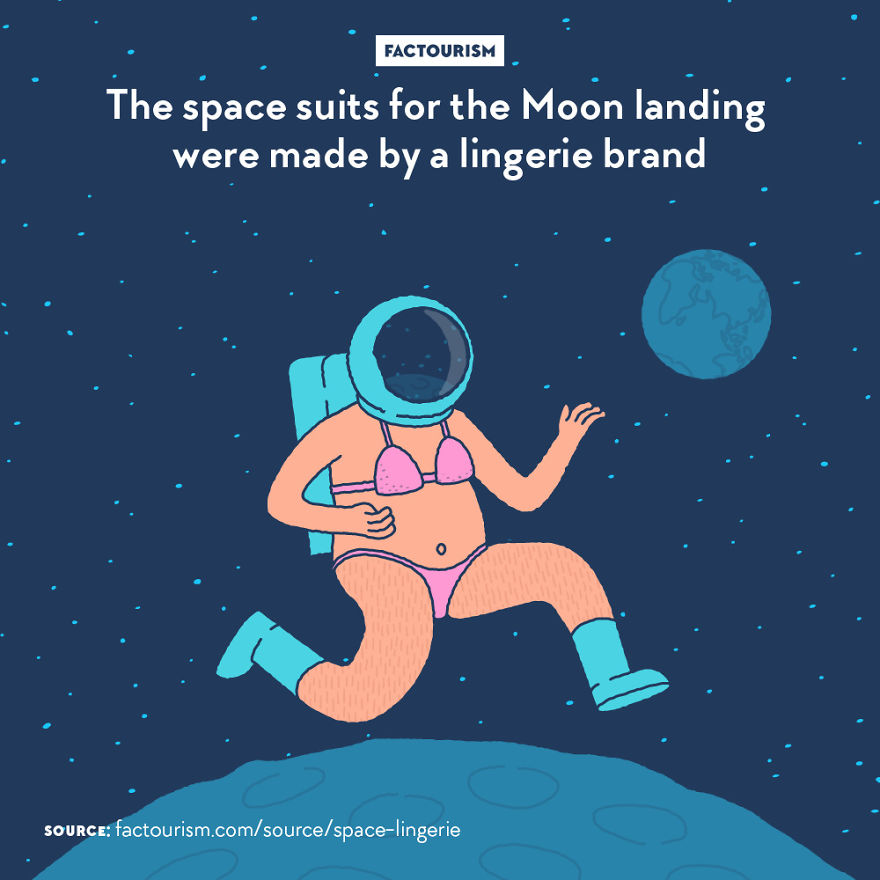 We Love Strange Facts And Decided To Draw Our Favourites. Here Are 30 Of Them.