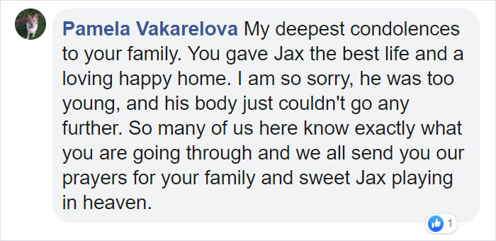 Owners Share Their Unique-Looking Pup's Heartbreaking Journey To Educate Others About A Very Serious Disease Owners Share Their Unique-Looking Pup's Heartbreaking Journey To Educate Others About A Very Serious Disease