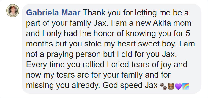 Owners Share Their Unique-Looking Pup's Heartbreaking Journey To Educate Others About A Very Serious Disease Owners Share Their Unique-Looking Pup's Heartbreaking Journey To Educate Others About A Very Serious Disease