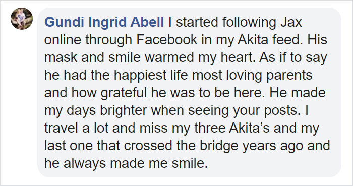 Owners Share Their Unique-Looking Pup's Heartbreaking Journey To Educate Others About A Very Serious Disease Owners Share Their Unique-Looking Pup's Heartbreaking Journey To Educate Others About A Very Serious Disease