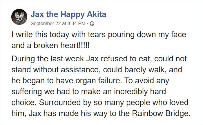 Owners Share Their Unique-Looking Pup's Heartbreaking Journey To Educate Others About A Very Serious Disease Owners Share Their Unique-Looking Pup's Heartbreaking Journey To Educate Others About A Very Serious Disease