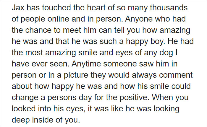 Owners Share Their Unique-Looking Pup's Heartbreaking Journey To Educate Others About A Very Serious Disease Owners Share Their Unique-Looking Pup's Heartbreaking Journey To Educate Others About A Very Serious Disease