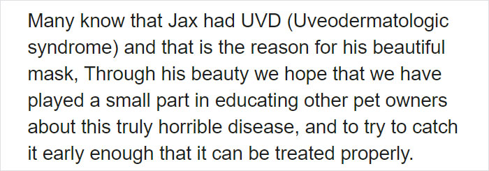 Owners Share Their Unique-Looking Pup's Heartbreaking Journey To Educate Others About A Very Serious Disease Owners Share Their Unique-Looking Pup's Heartbreaking Journey To Educate Others About A Very Serious Disease
