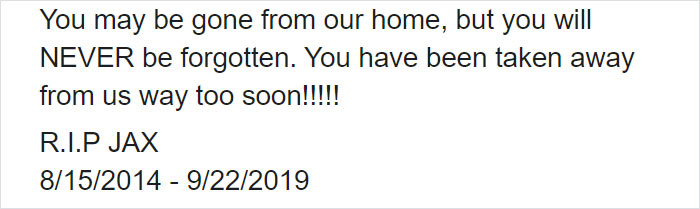 Owners Share Their Unique-Looking Pup's Heartbreaking Journey To Educate Others About A Very Serious Disease Owners Share Their Unique-Looking Pup's Heartbreaking Journey To Educate Others About A Very Serious Disease