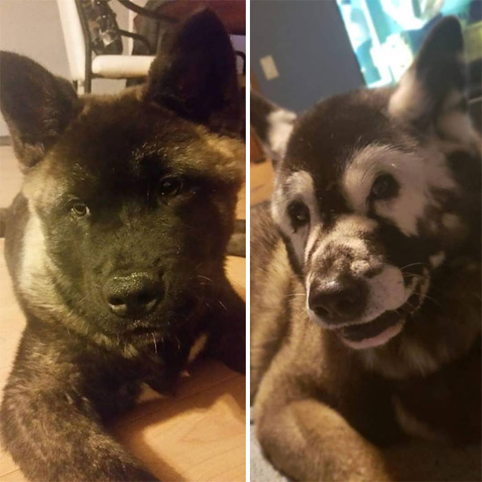 Owners Share Their Unique-Looking Pup's Heartbreaking Journey To Educate Others About A Very Serious Disease Owners Share Their Unique-Looking Pup's Heartbreaking Journey To Educate Others About A Very Serious Disease