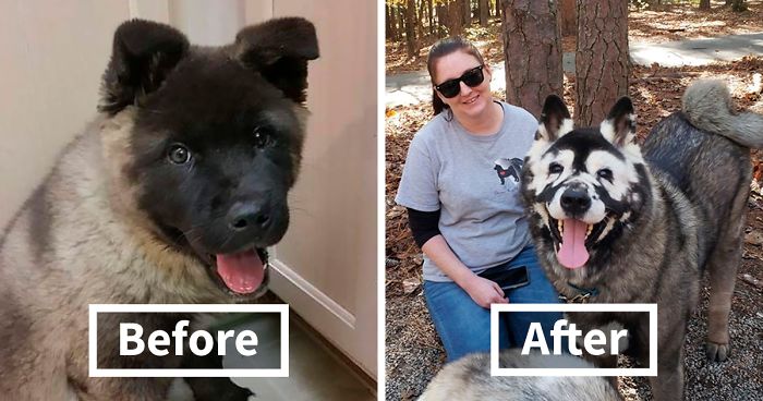 Owners Share Their Unique-Looking Pup’s Heartbreaking Journey To Educate Others About A Very Serious Disease