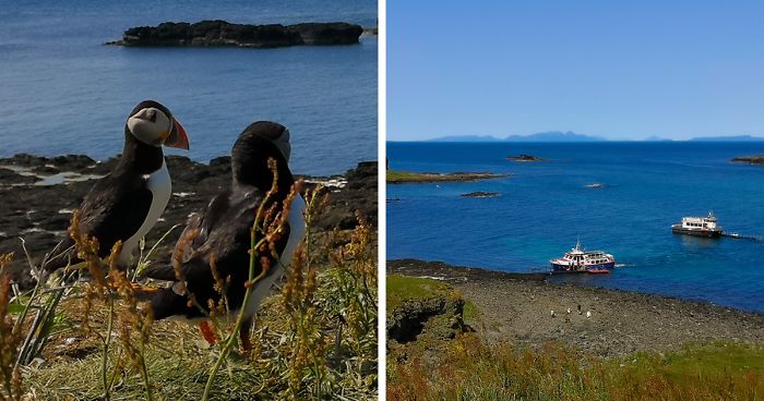 I Traveled To Scotland To See Its Beautiful Nature And Watch Rare Birds (32 Pics)