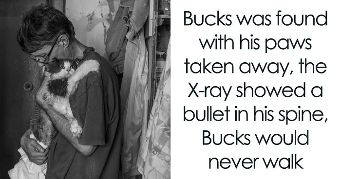 I Capture A Heartbreaking Story About A Woman That Dedicated Her Life To Stray Cats Despite Her Own Hardships