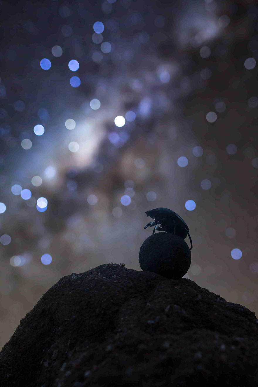 Skyscapes: 'Celestial Navigator' By Robin Stuart